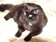 Obie on the spare bed